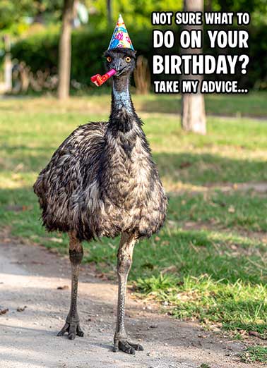 Just Wing It Funny 5x7 greeting Card Birthday Send someone a personalized greeting card just in time for their birthday! | just wing it emu funny birthday card  Just Wing It